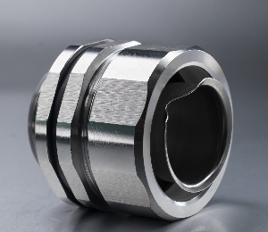 Stainless Steel Straight Flex Connector