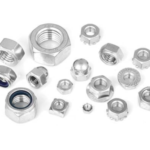 Stainless Steel Nuts